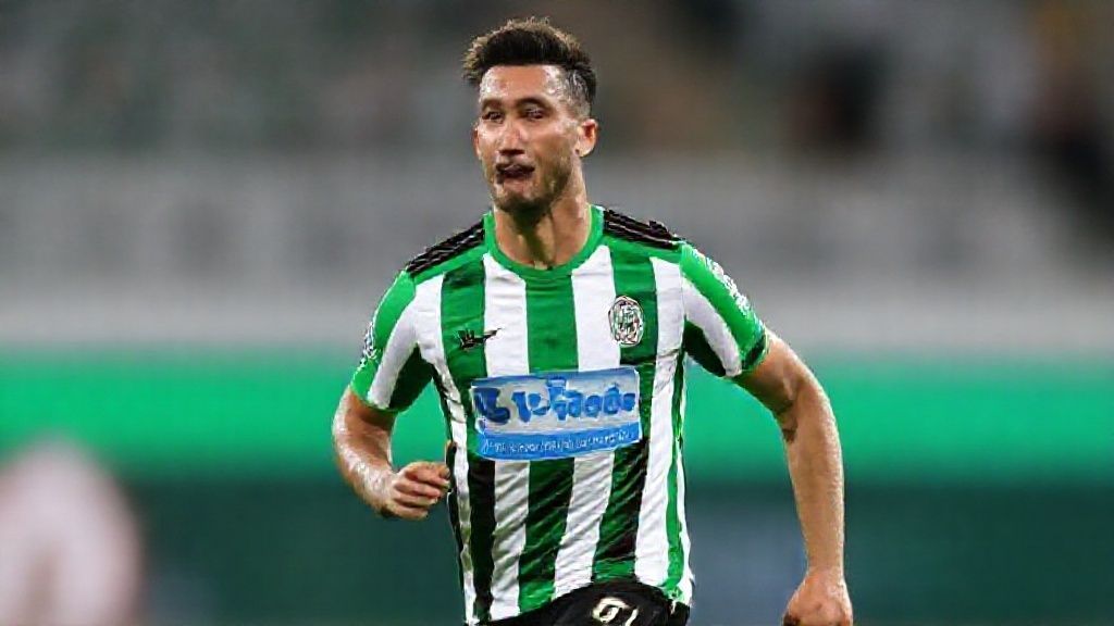 帕尔梅拉斯2026年转会计划曝光：阿兰或成下一个天价交易